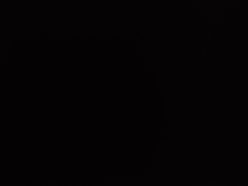 16425440942534419770949079125635 16425440942534419770949079125635